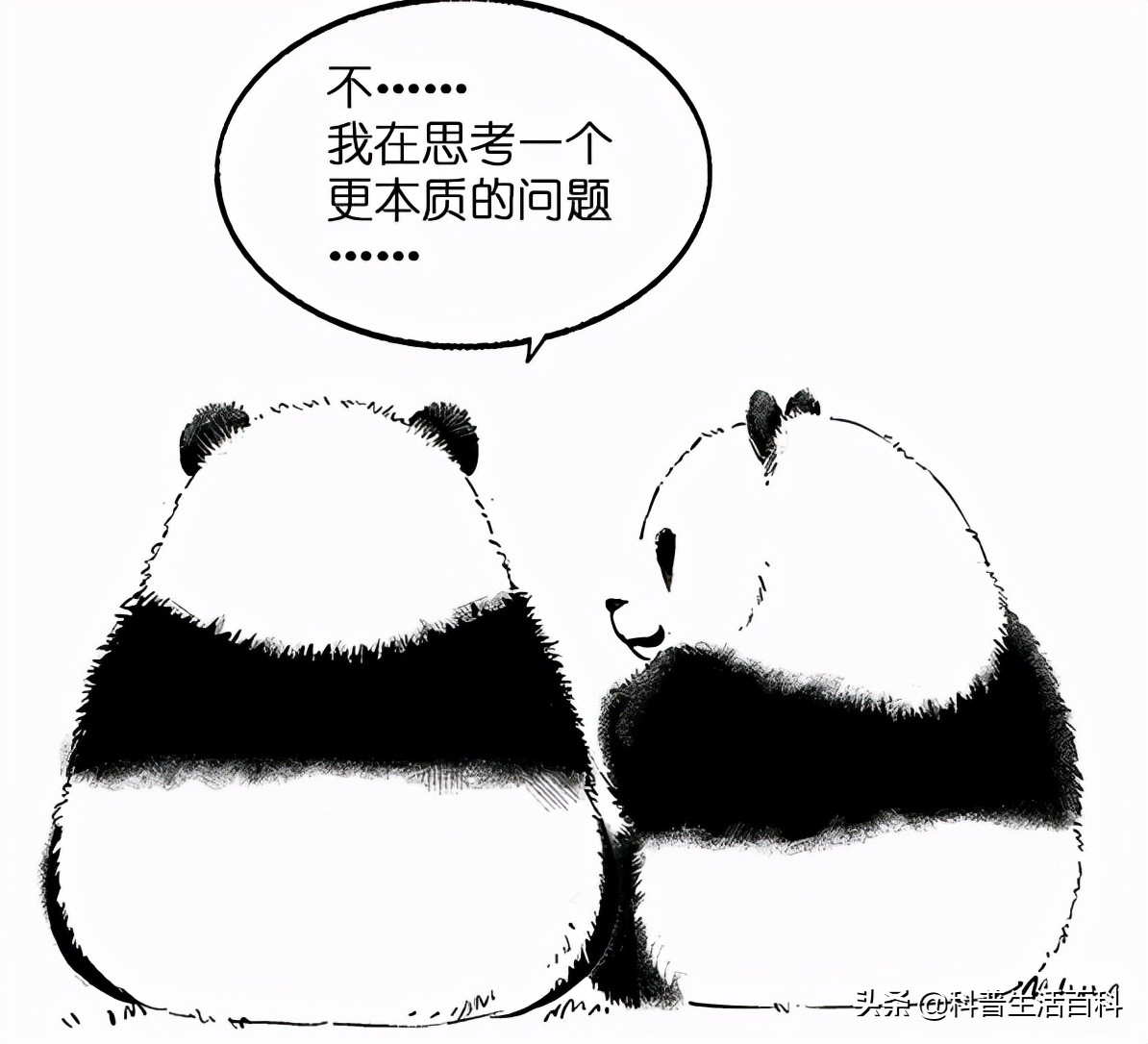 家里面有必要买跑步机吗,家里面买跑步机有必要吗