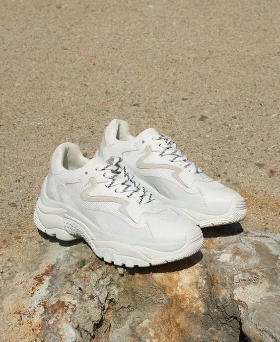 人生处处是陷阱,人生处处是陷阱只有躲起来最安全