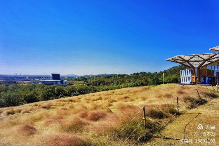 秋之旅免费完整版,秋之旅风景图片