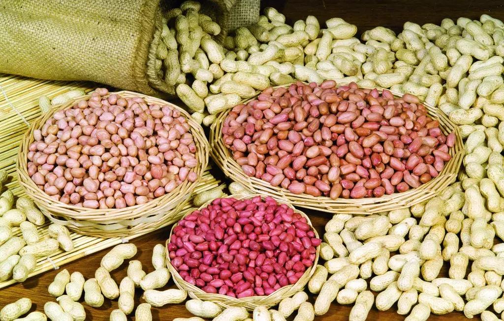 七彩花生种植基地图片,七彩花生和五彩花生区别