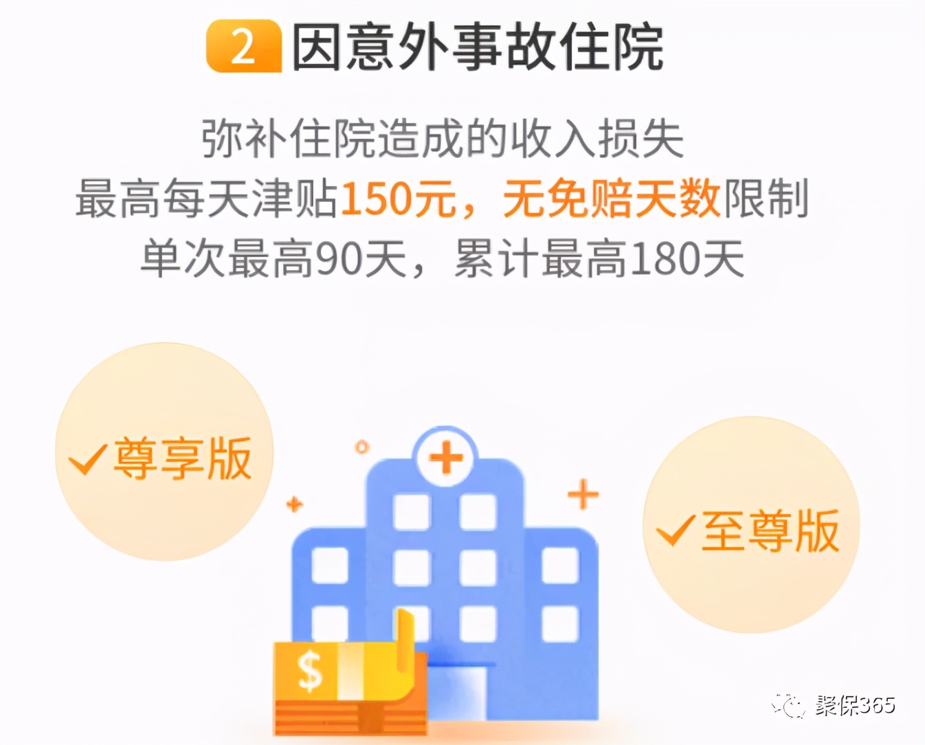 这个小蜜蜂又飞回来了