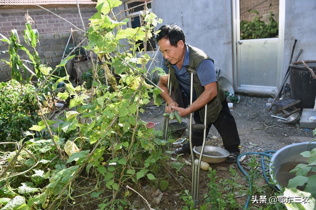 邻居偷菜中毒需要赔偿吗,邻居偷菜200元什么处罚