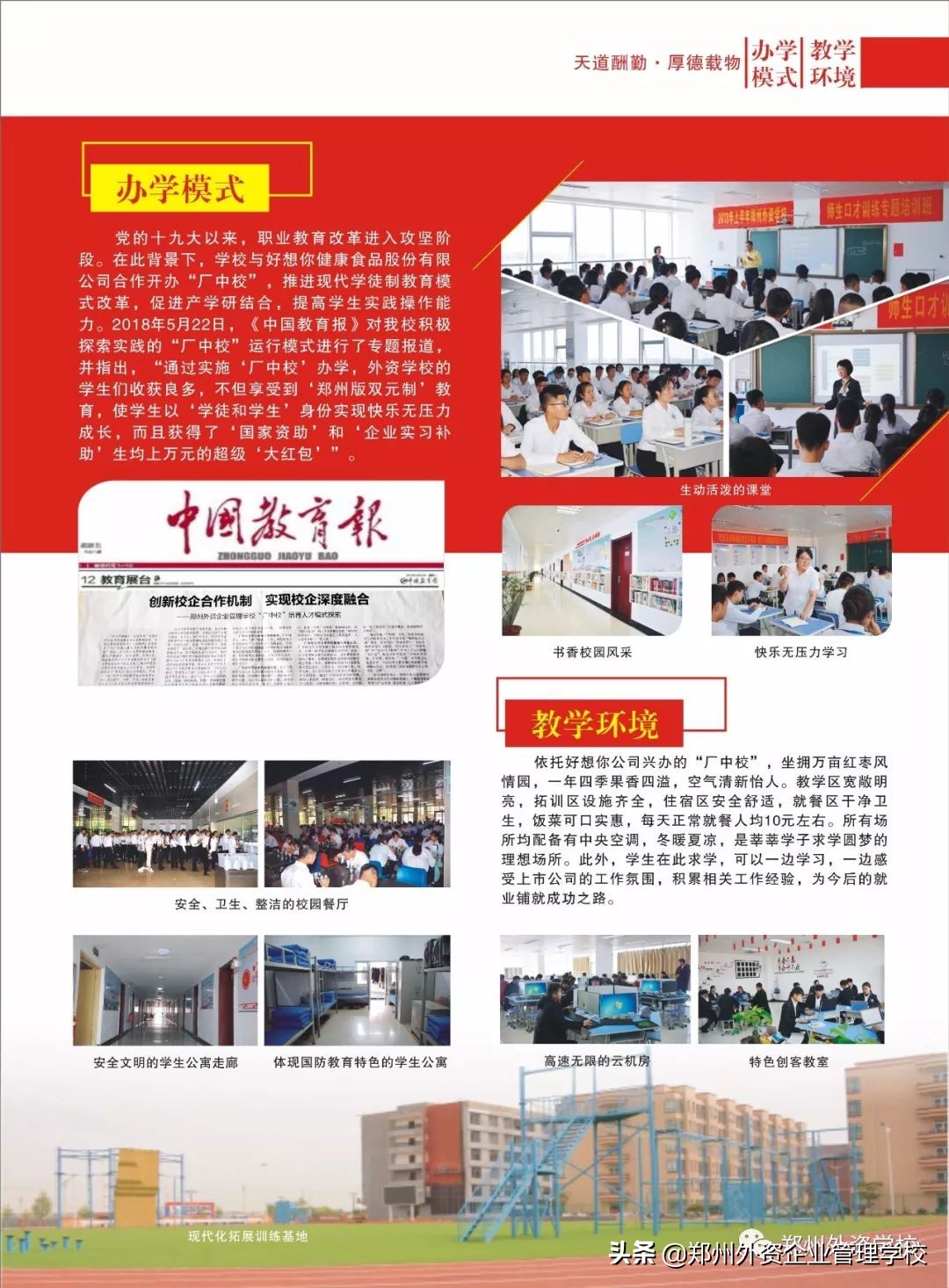 郑州中考什么时候能查分,郑州中考成绩公布时间和分数线