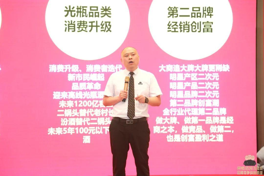 黑格咨询成功案例,黑格咨询中天