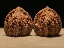 文玩品鉴视频,广善文玩精品文玩核桃