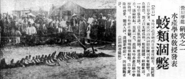 历史：关于“龙”的传说你了解多少