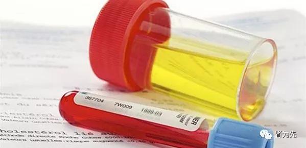 尿隐血1个加号尿白细胞弱阳性,尿隐血是怎么回事