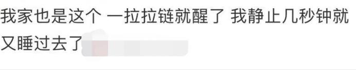 成人10款蚊帐良心测评,最好用的蚊帐测评