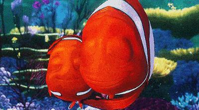 紧张又温暖！陡坡上，海狗妈妈突然分娩，保育员高举塑料桶空中接生！