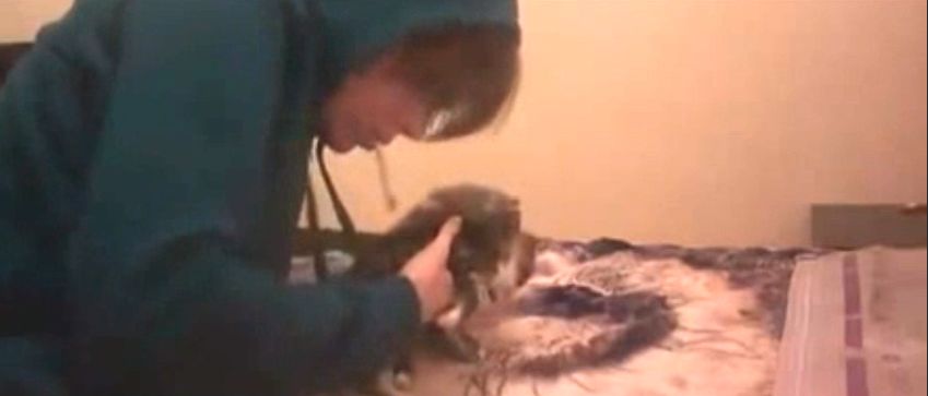 变态虐待狂为出名，竟把杀人视频po上网