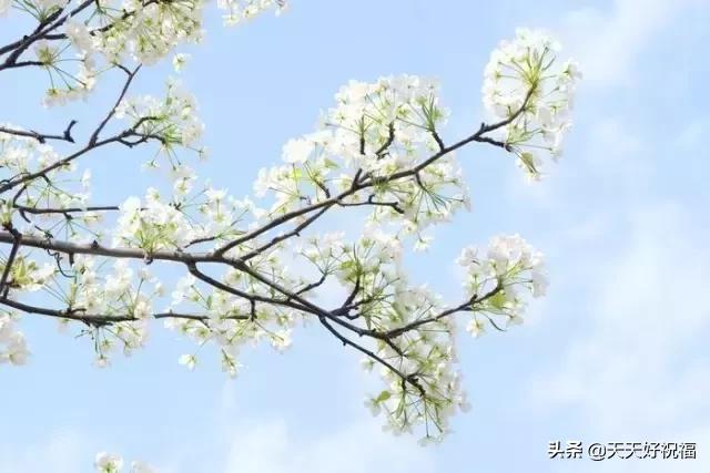 绝！绝！绝！这条微信谁编的？太有才了