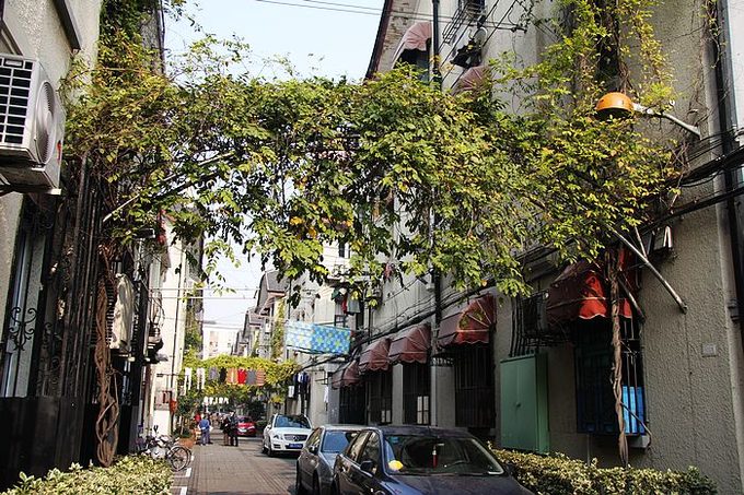 上海七宝老街图集,被历史遗忘的上海老街