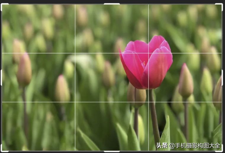 24-70拍人像使用技巧,24种手机拍摄技巧图片