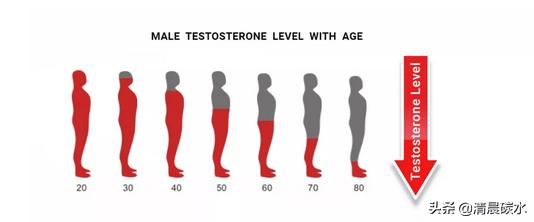 臀腿和腹部怎么减脂有效,臀腿脂肪怎么减最快