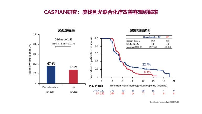 pd-1免疫治疗肺癌患者指南,小细胞肺癌治疗药物2021年新汇总