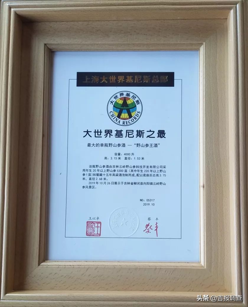 吉尼斯之最,吉尼斯之最视频