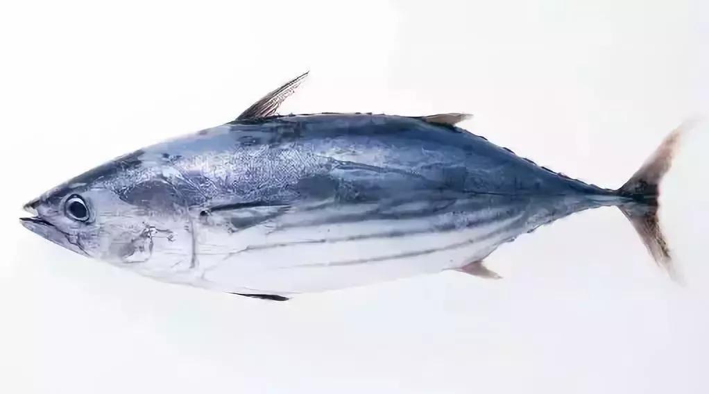 防城港怎么吃海鲜便宜不被坑,防城港干货海鲜有哪些