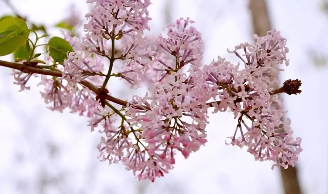晋城司徒小镇异域风情,晋城皇城相府和司徒小镇