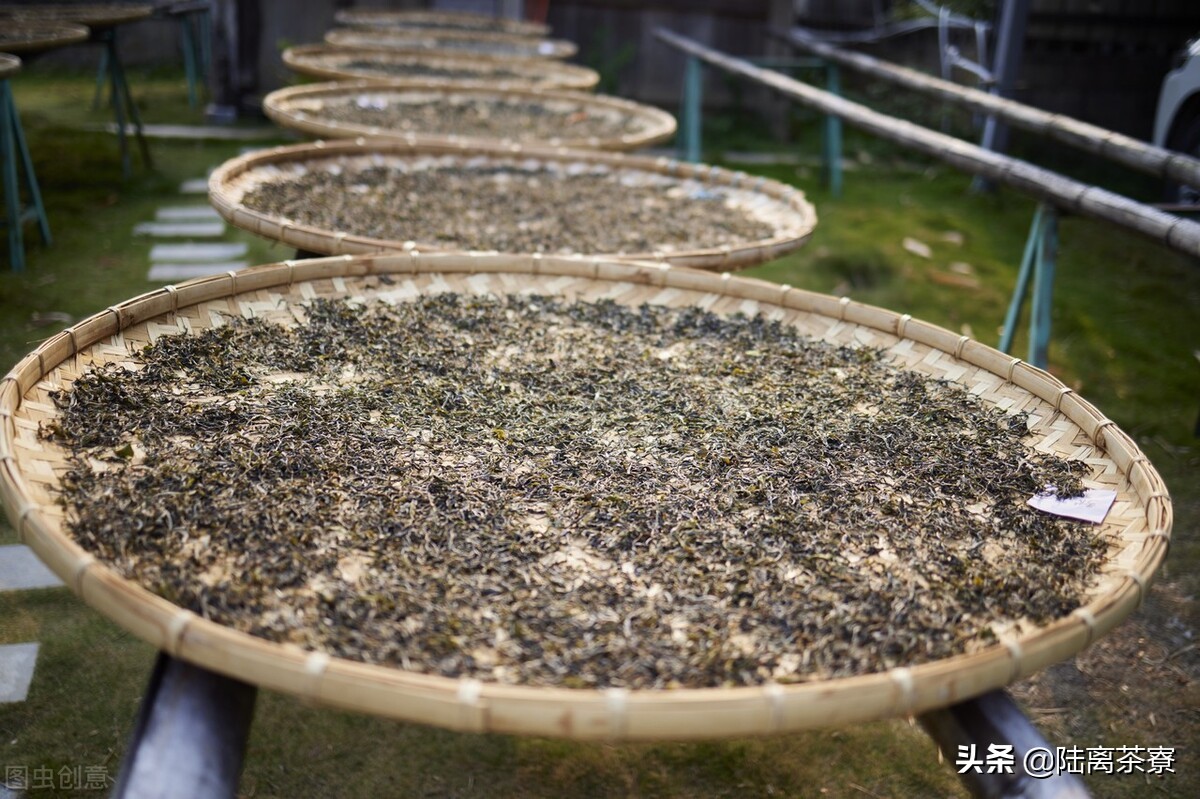 澜沧古茶为什么要去香港上市,澜沧古茶上市第一天表现