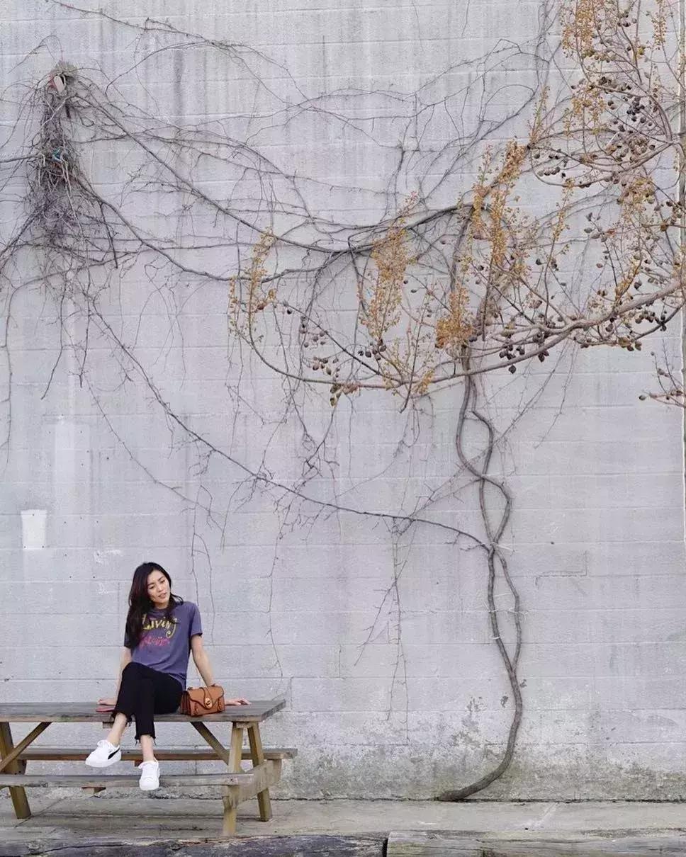 刘雯ins视频完整版,刘雯ins最新消息