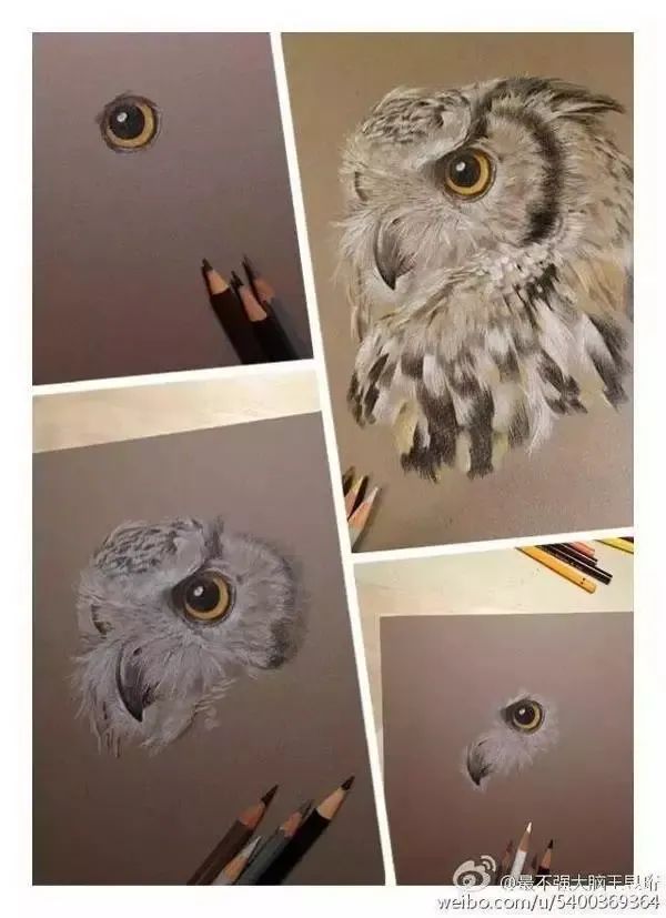 王昱珩上学经历,清华毕业的王昱珩