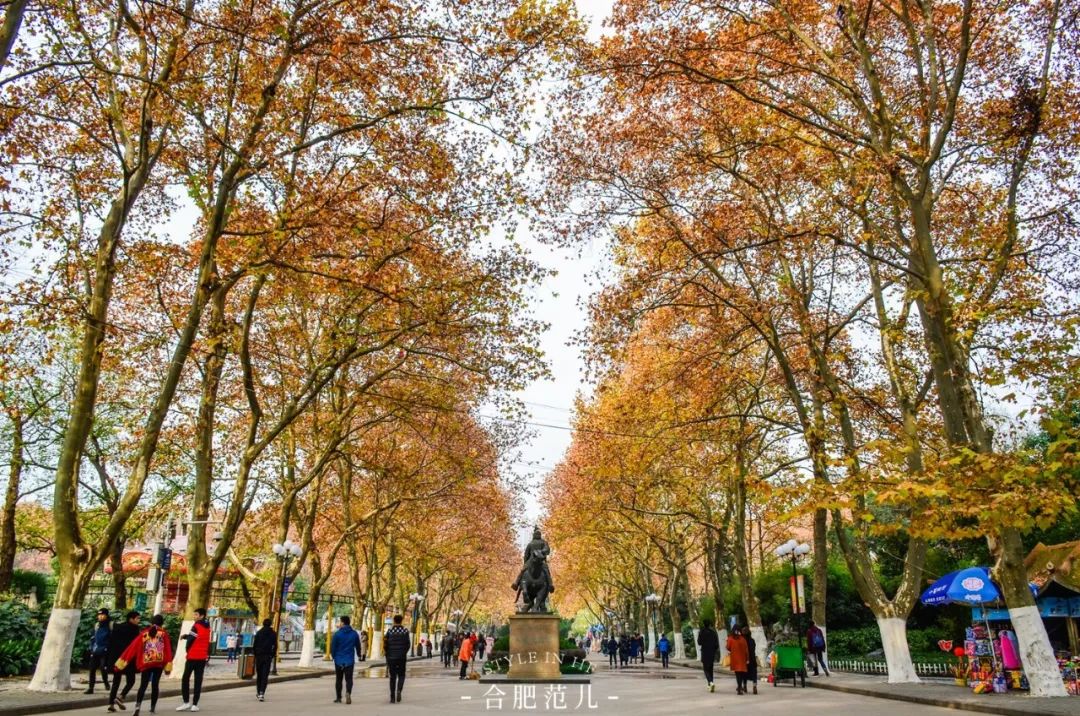 合肥大蜀山游玩攻略,合肥蜀山区最值得去的地方