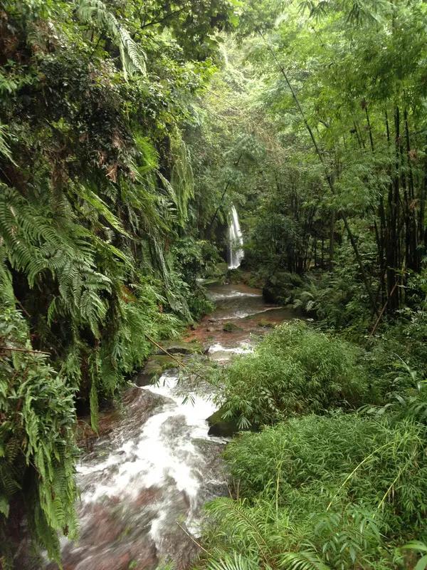 宜宾市长宁蜀南竹海,我的中国行