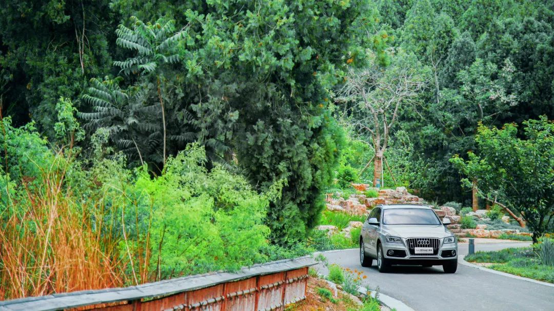 4s店燃油系统清洗有用吗,进气燃油系统清洗多久一次