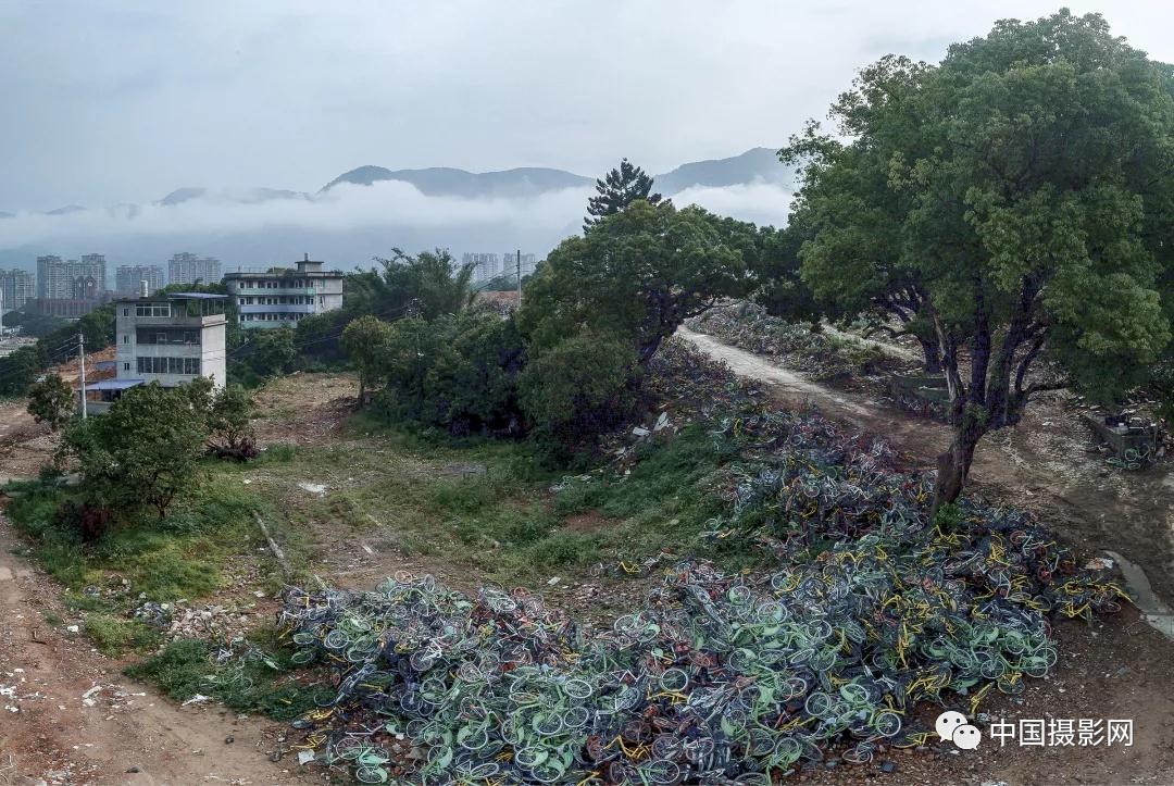 第七届全国摄影十杰获奖者,中国摄影年度人物排名