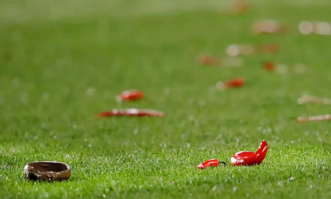 辣椒大葱圆白菜，绿茵场上原来不只有草