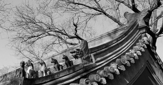 我捡到了一个漂流瓶,有捡到漂流瓶的小说