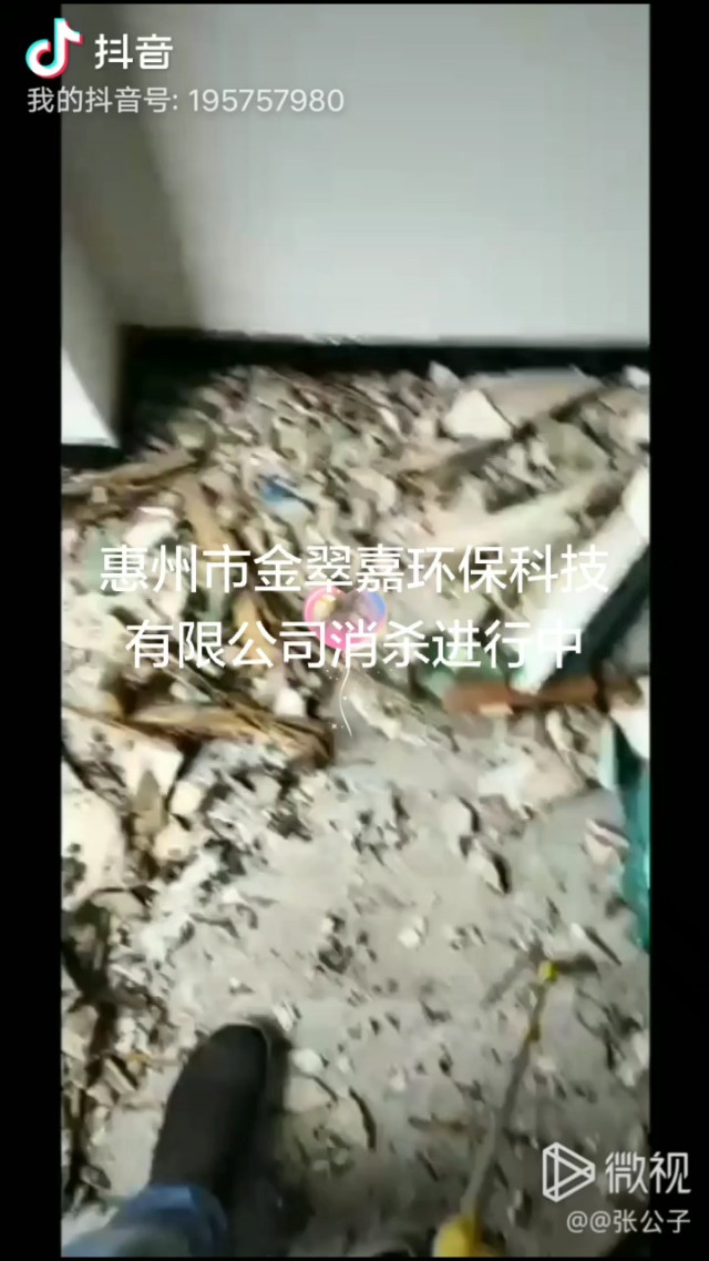 永泰县灭白蚁除虫服务机构,忠县专业灭鼠灭白蚁除蟑螂公司