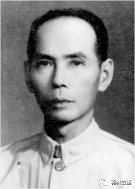 詹伯慧当代语言学家,詹伯慧简历