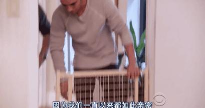 猫狗吃醋打架,吃醋的猫狗