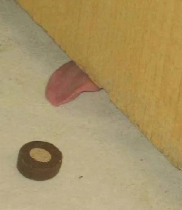 俄罗斯金刚芭比娜塔莉 (俄罗斯金刚芭比肌肉爆裂)