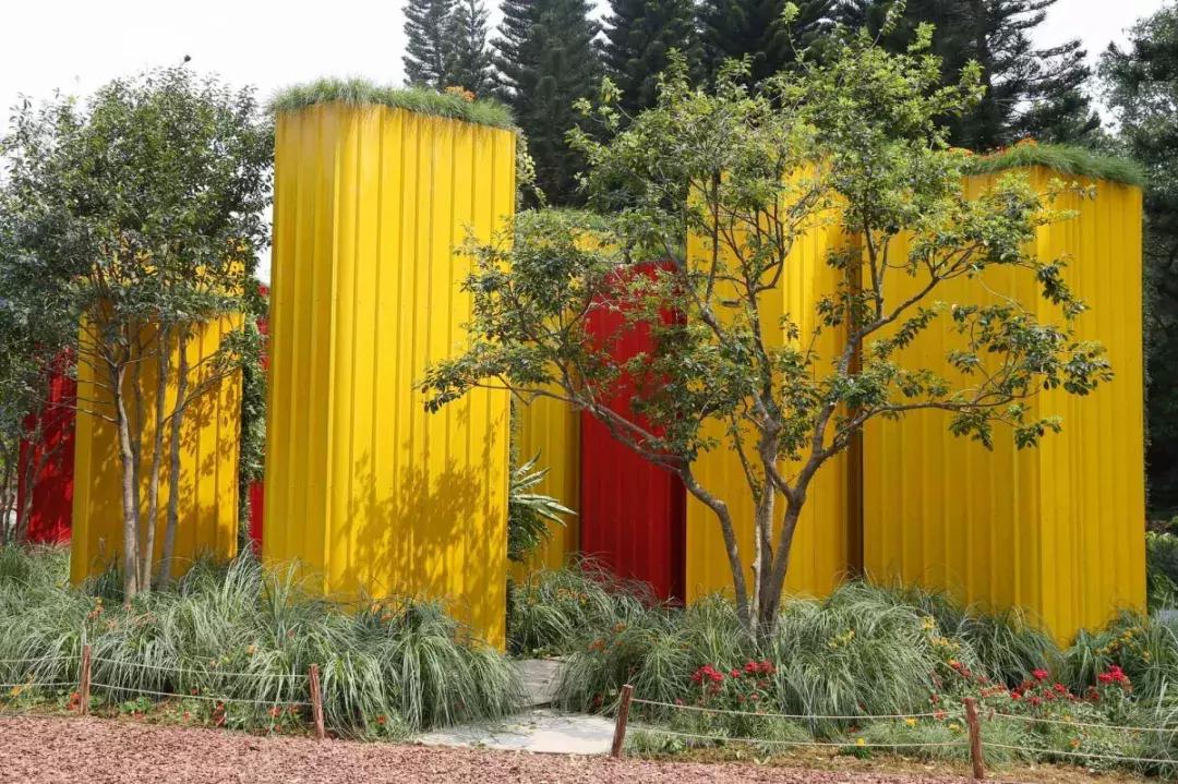 未来10天预警,深圳最最最最火的地方在这里,美女都赶来打卡