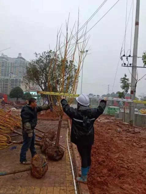 碧桂园物业人员坚守岗位,碧桂园坚守岗位