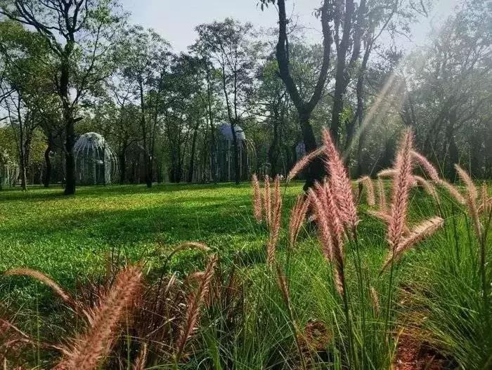 广东附近旅游度假,广东周边度假小镇