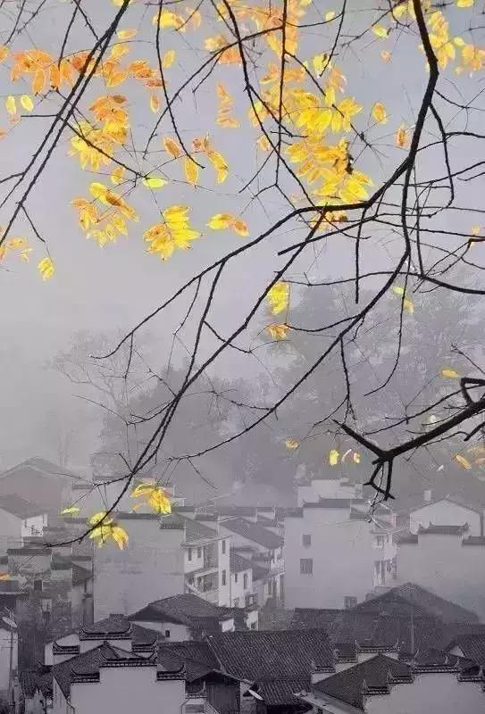 我爷爷的爷爷我该叫什么,我爷爷的爷爷的爷爷叫什么