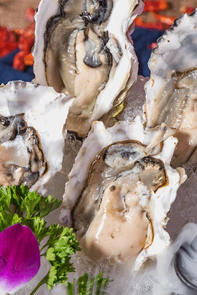 大连最不希望关门的店,大连有名的一条街