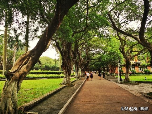 中国最美丽的校园照片,中国最美丽的校园中山大学南校区