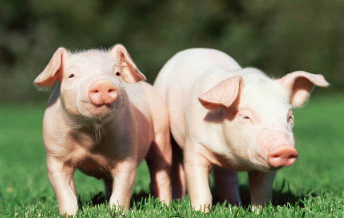 春季腹泻是怎么回事,春季拉肚子是什么原因