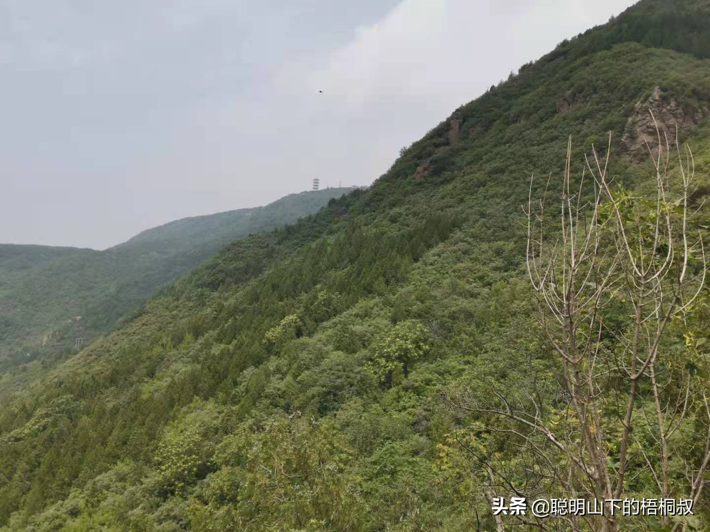 蟒山国家森林公园自由行攻略,北京蟒山森林公园游玩攻略