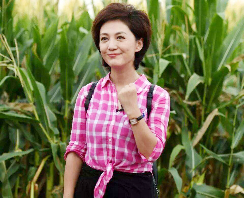 中国美女主播海霞,央视十大美女主播海霞辣评