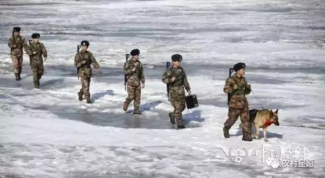 100张中国海防巡逻图,看哭了盘点中国军人的戳泪瞬间