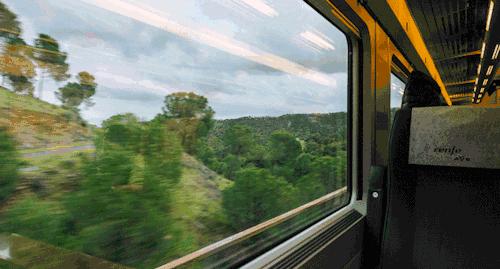 濂藉濡瑰紶灏忓帤,濂藉濡瑰紶灏忓帤涓汉璧勬枡