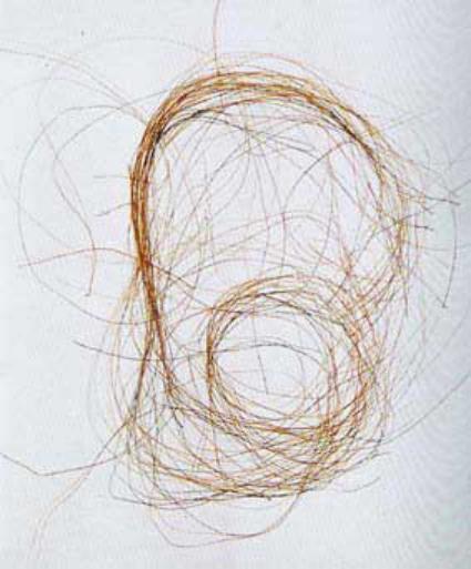 婢冲ぇ鍒╀簹鍙戠幇閲庝汉,婢冲ぇ鍒╀簹澶ц剼閲庝汉