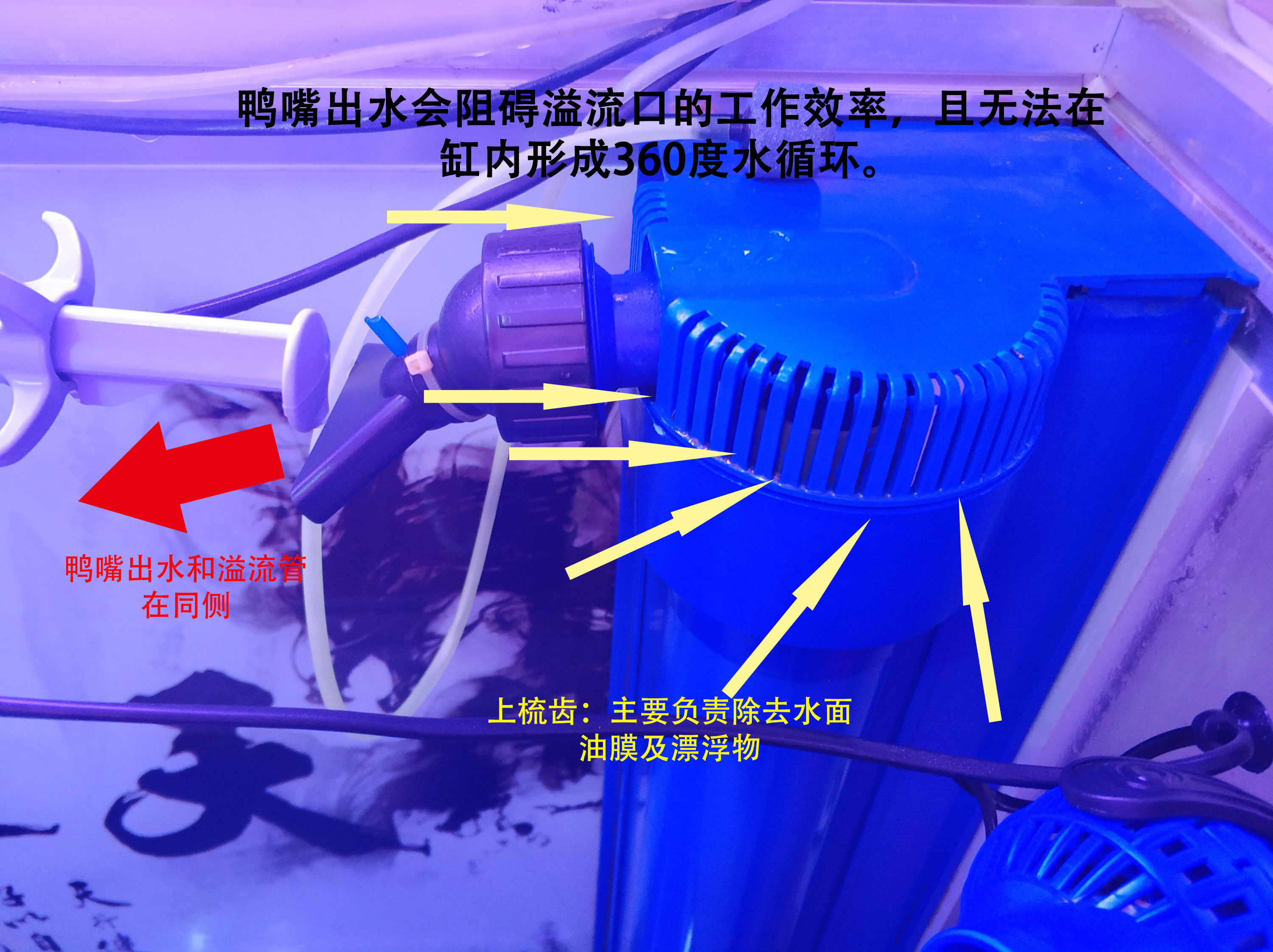 底滤鱼缸里鱼粪排不出去,底滤鱼缸鱼屎吸不走怎么办