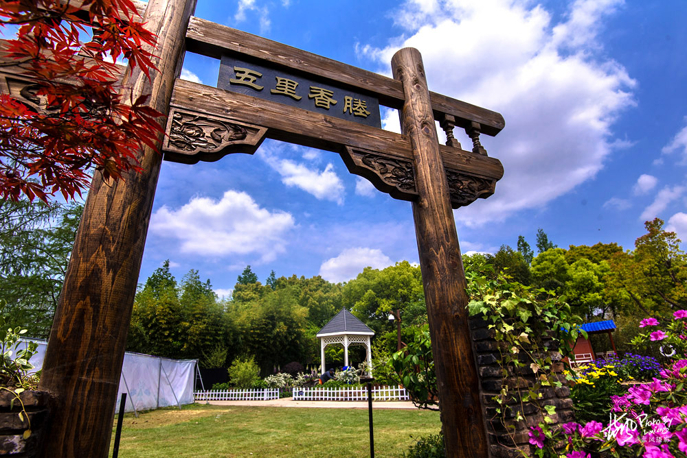 上海国际花展一览表,上海国际花展一览