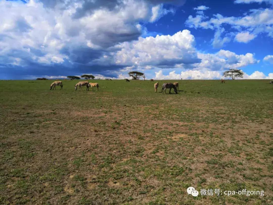 这个野奢的国度,欧美、日韩人都爱去,为何我们国家没人去?